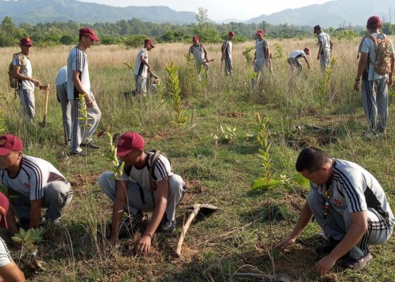 गोलबजारका युवाहरले एकैदिनमा रोपे निःशुल्क पाँच हजार विरुवा 