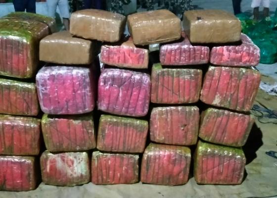भारतीय सीमाक्षेत्रबाट काउली बोकेको पिकअपबाट ३३४ केजी गाँजा बरामद