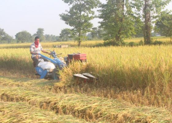 कृषि पेसा सम्मानजनक र सुरक्षित बनाउँदै किसान क्रेडिट कार्ड दिने सरकारको घोषणा