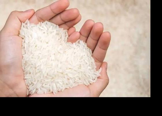 गुणस्तरहीन खाद्यान्न बिक्री गर्ने मधेसका ६२ उद्योगीविरुद्ध मुद्दा दायर गुणस्तरहीन खाद्यान्न बिक्री गर्ने मधेसका ६२ उद्योगीविरुद्ध मुद्दा दायर