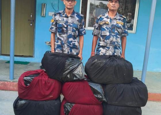 सिरहा सशस्त्र प्रहरीद्वारा डेढ क्विन्टलभन्दाबढी प्रतिवन्धित गाँजा बरामद सिरहा सशस्त्र प्रहरीद्वारा डेढ क्विन्टलभन्दाबढी प्रतिवन्धित गाँजा बरामद