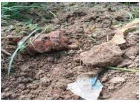 सिरहाको बरियारटीमा भेटिएको सकेट बम नेपाली सेनाले डिसपोज गरे सिरहाको बरियारटीमा भेटिएको सकेट बम नेपाली सेनाले डिसपोज गरे